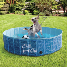 Jacob Dog Pool